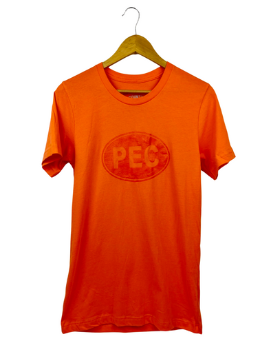 Orange unisex cotton t-shirt with PEC oval in dark orange ink monochrome design prince edward county