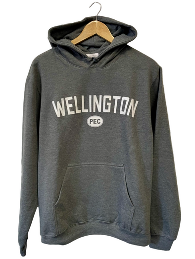 wellington, charcoal heather, charcoal, unisex, hoodie 
