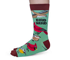 Women's Bird Nerd Socks by Uptown Sox